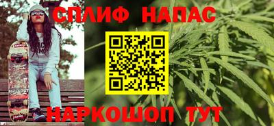 СК Волгодонск