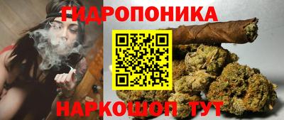 СК Волгодонск