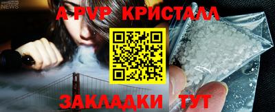 СК Волгодонск