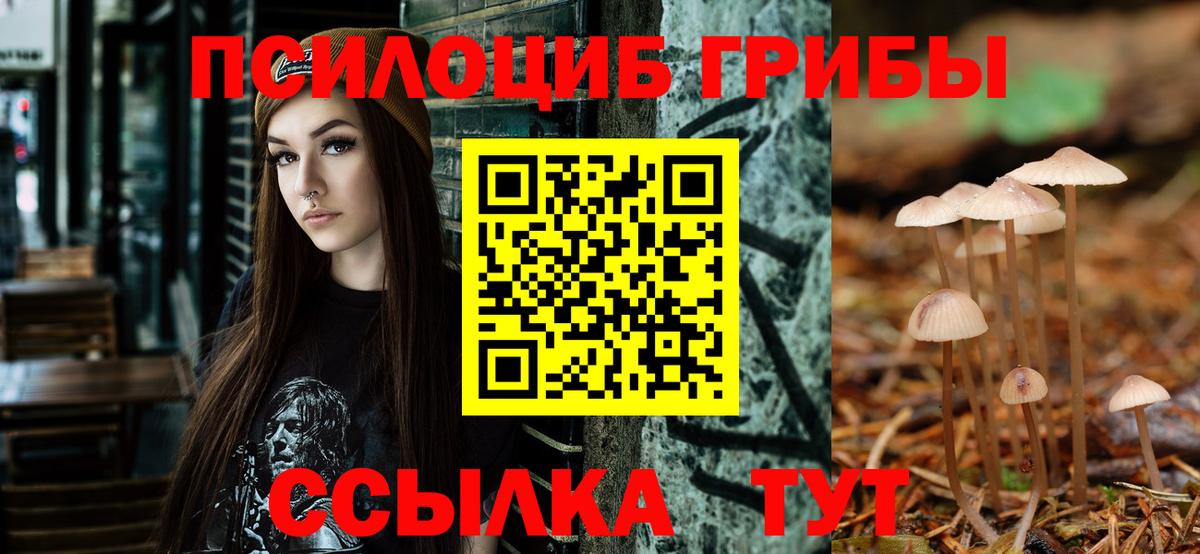 Псилоцибиновые грибы MAGIC MUSHROOMS Мценск