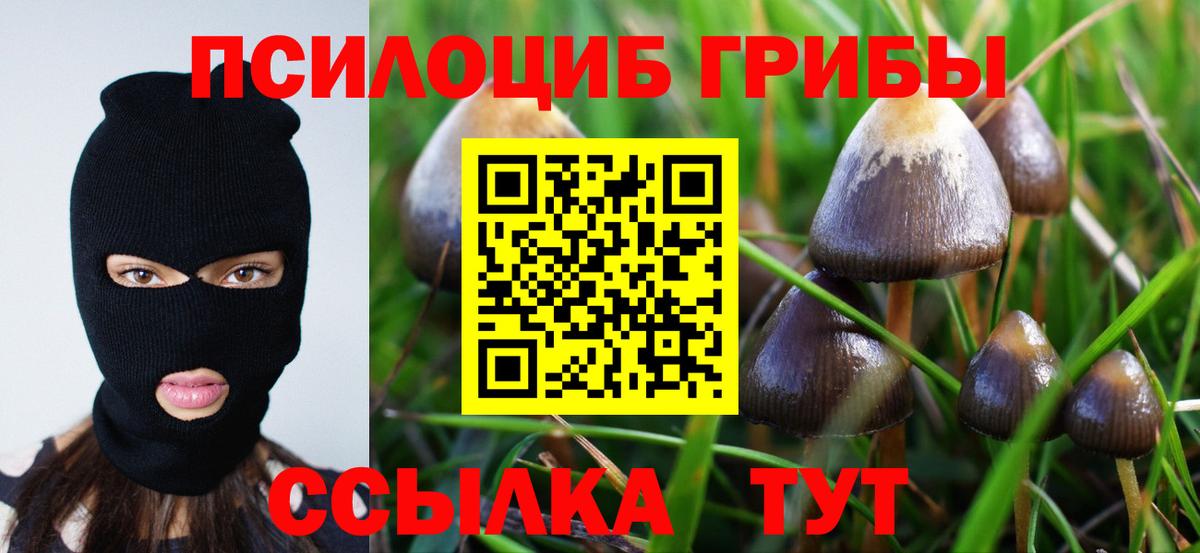 Псилоцибиновые грибы Psilocybe  Вход с VPN  Мценск 